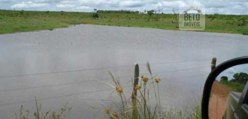 Fazenda Vocacionada p Pecuária 149 mil hectares | Rondolândia/ MT