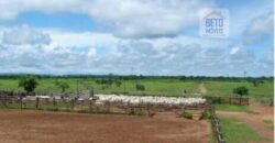 Fazenda Vocacionada p Pecuária 149 mil hectares | Rondolândia/ MT