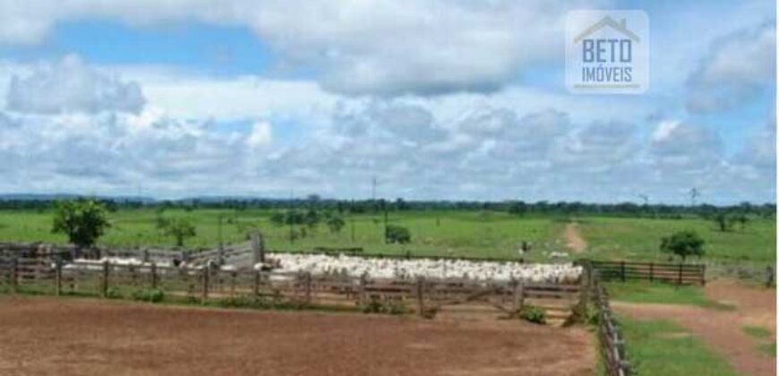 Fazenda Vocacionada p Pecuária 149 mil hectares | Rondolândia/ MT