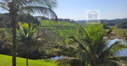 Fazenda Excelente Mansão e Dupla Aptidão Pasto e Plantio | Juquiá e Registro/ SP