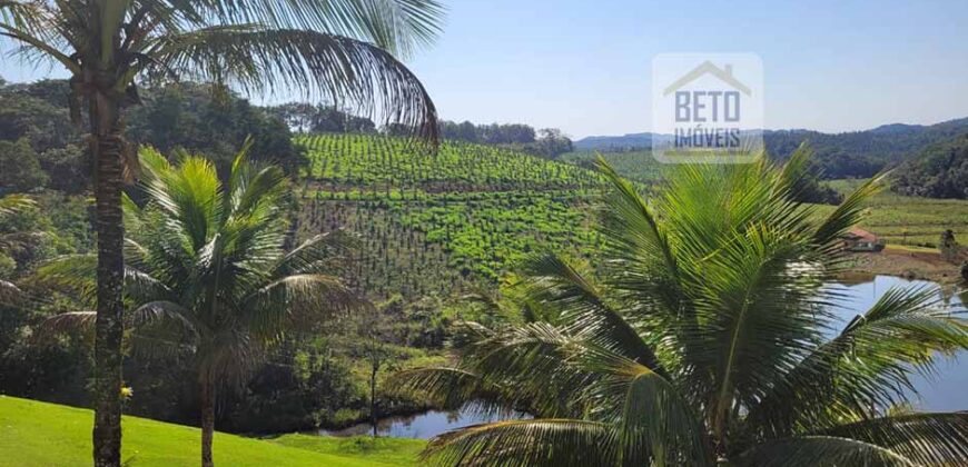 Fazenda Excelente Mansão e Dupla Aptidão Pasto e Plantio | Juquiá e Registro/ SP