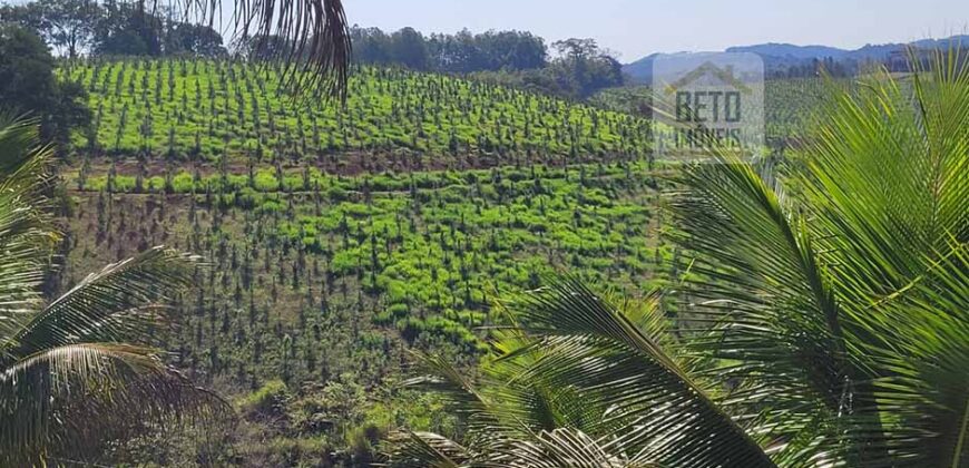 Fazenda Excelente Mansão e Dupla Aptidão Pasto e Plantio | Juquiá e Registro/ SP