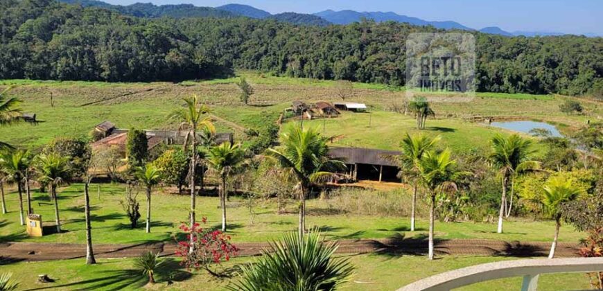 Fazenda Excelente Mansão e Dupla Aptidão Pasto e Plantio | Juquiá e Registro/ SP