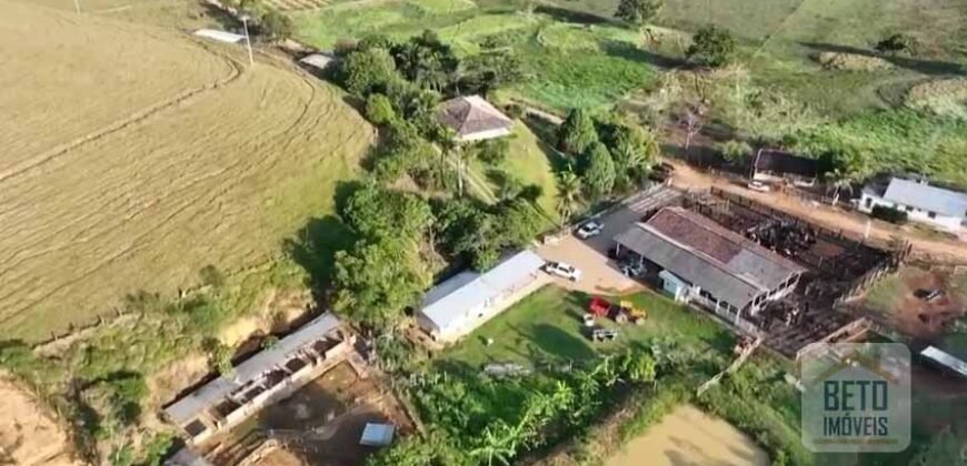 Fazenda p Pastagem c/ Toda Estrutura 37alqueires | Campos dos Goytacazes/ RJ