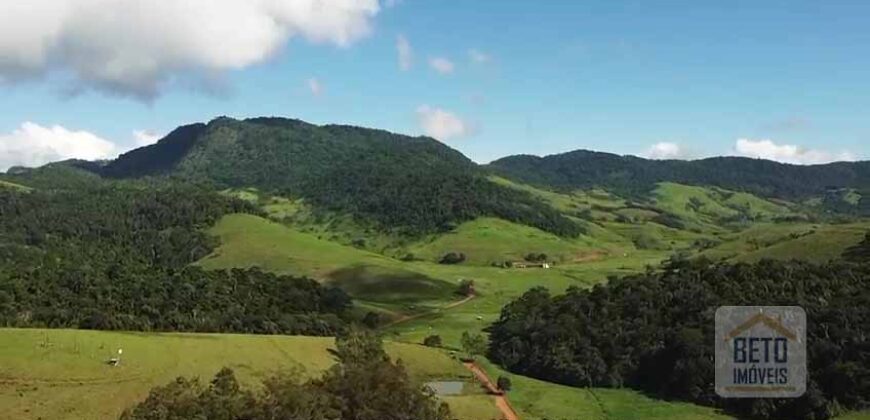 Fazenda de Criação de Gado de Corte com 320 hectares | Palma – MG