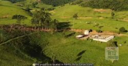 Fazenda de Criação de Gado de Corte com 320 hectares | Palma – MG