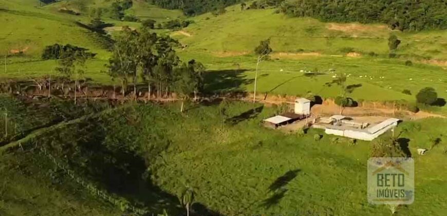 Fazenda de Criação de Gado de Corte com 320 hectares | Palma – MG