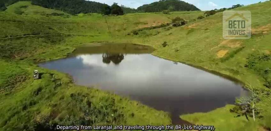 Fazenda de Criação de Gado de Corte com 320 hectares | Palma – MG