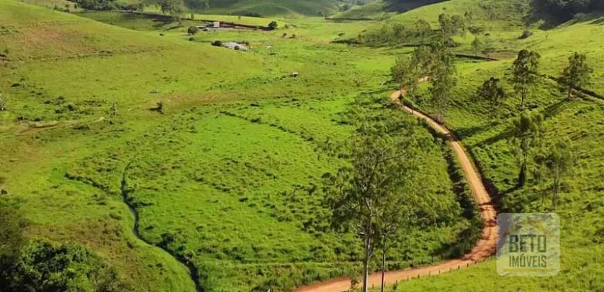 Fazenda de Criação de Gado de Corte com 320 hectares | Palma – MG