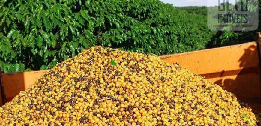 Fazenda de Café com 5.000 hectares | Região de Varginha/ MG