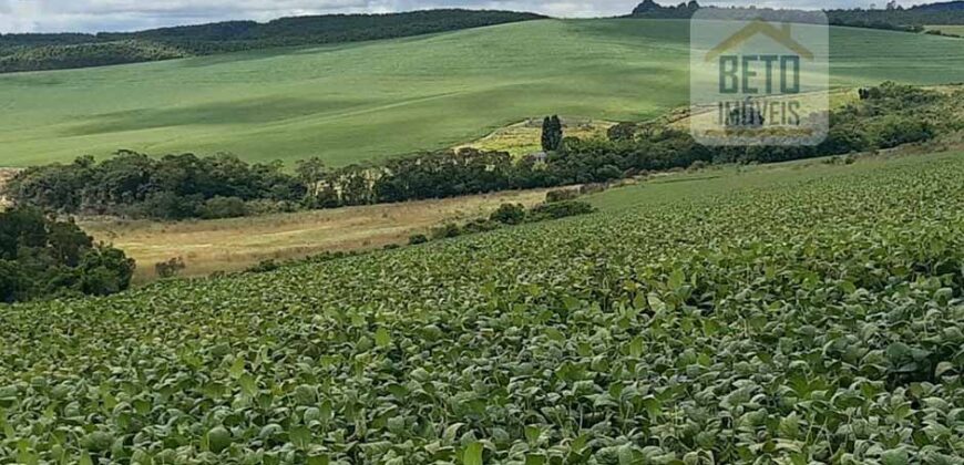 Fazenda de Café com 5.000 hectares | Região de Varginha/ MG