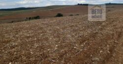 Fazenda de Café com 5.000 hectares | Região de Varginha/ MG