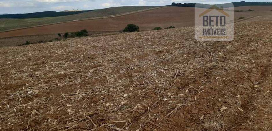 Fazenda de Café com 5.000 hectares | Região de Varginha/ MG