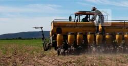 Mega Fazenda para venda 83.000 alqueires | Zona Rural – Lizarda – TO