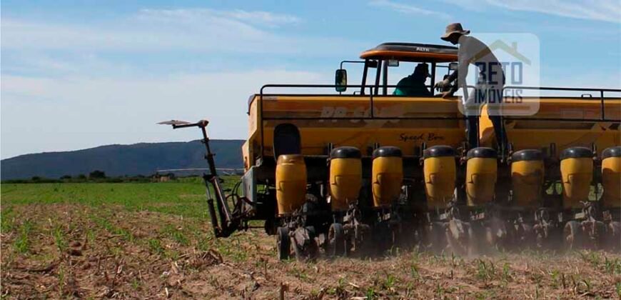 Mega Fazenda para venda 83.000 alqueires | Zona Rural – Lizarda – TO