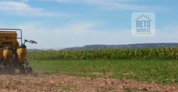 Mega Fazenda para venda 83.000 alqueires | Zona Rural – Lizarda – TO