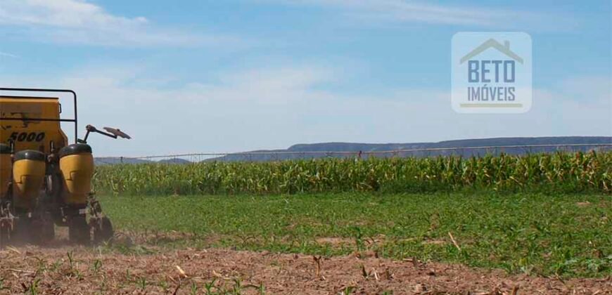 Mega Fazenda para venda 83.000 alqueires | Zona Rural – Lizarda – TO