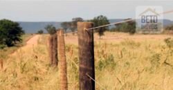 Mega Fazenda para venda 83.000 alqueires | Zona Rural – Lizarda – TO