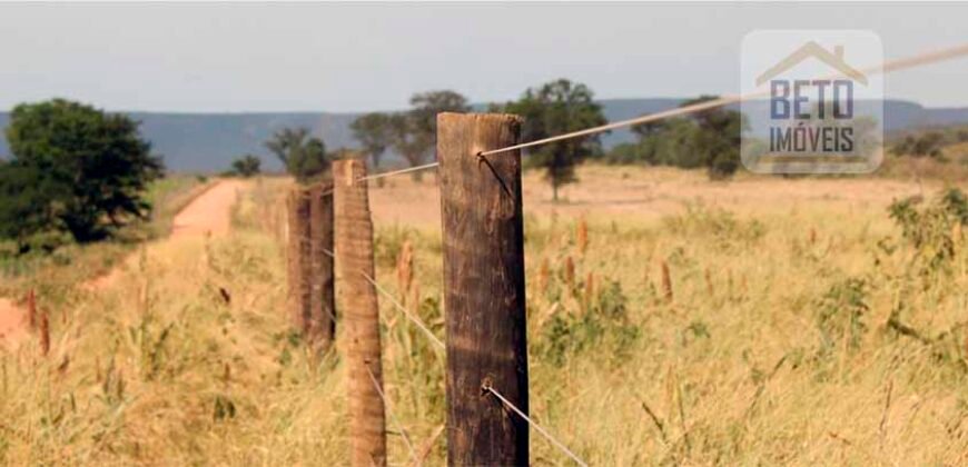 Mega Fazenda para venda 83.000 alqueires | Zona Rural – Lizarda – TO