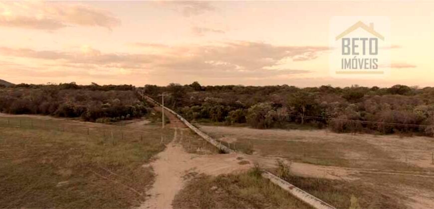 Mega Fazenda para venda 83.000 alqueires | Zona Rural – Lizarda – TO