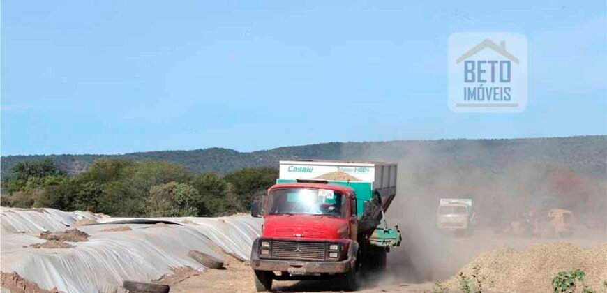 Mega Fazenda para venda 83.000 alqueires | Zona Rural – Lizarda – TO