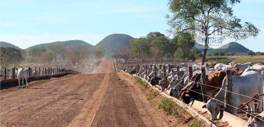 Mega Fazenda para venda 83.000 alqueires | Zona Rural – Lizarda – TO