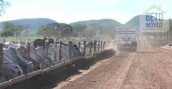 Mega Fazenda para venda 83.000 alqueires | Zona Rural – Lizarda – TO