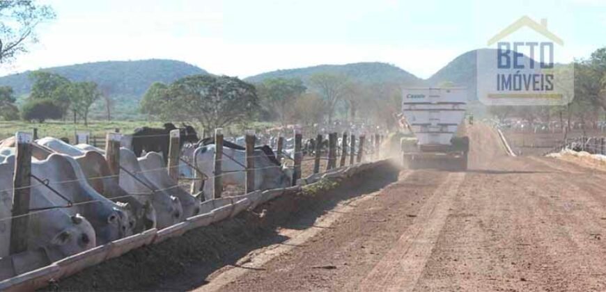 Mega Fazenda para venda 83.000 alqueires | Zona Rural – Lizarda – TO