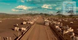 Mega Fazenda para venda 83.000 alqueires | Zona Rural – Lizarda – TO