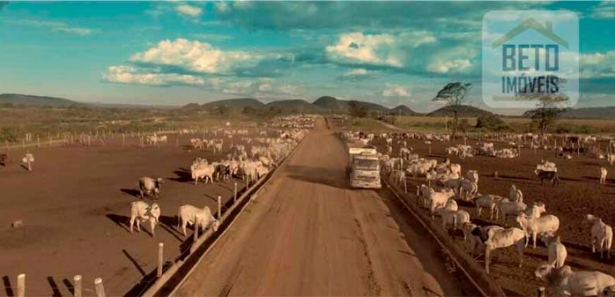 Mega Fazenda para venda 83.000 alqueires | Zona Rural – Lizarda – TO