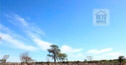 Mega Fazenda para venda 83.000 alqueires | Zona Rural – Lizarda – TO
