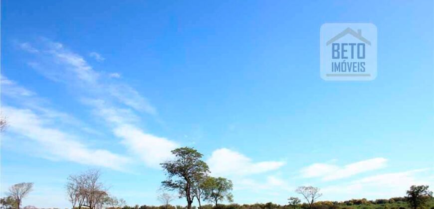Mega Fazenda para venda 83.000 alqueires | Zona Rural – Lizarda – TO