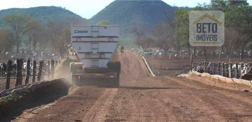 Mega Fazenda para venda 83.000 alqueires | Zona Rural – Lizarda – TO