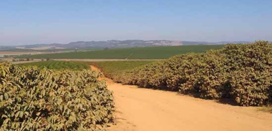 Fazenda de Café com 5.000 hectares | Região de Varginha/ MG