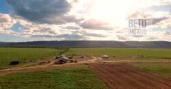 Mega Fazenda para venda 83.000 alqueires | Zona Rural – Lizarda – TO
