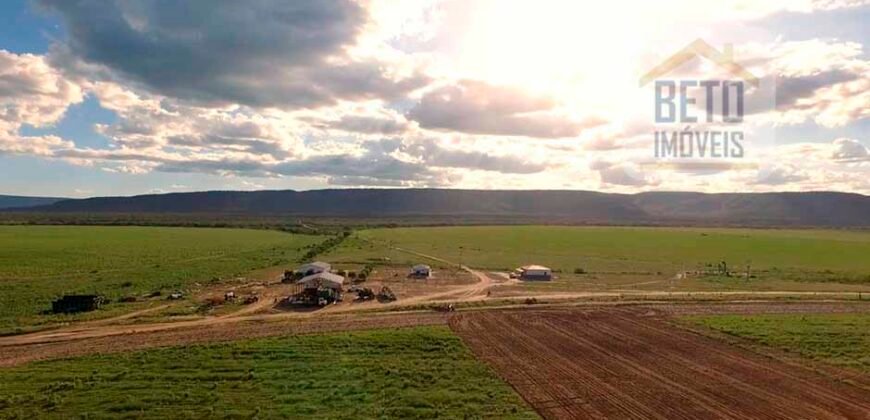 Mega Fazenda para venda 83.000 alqueires | Zona Rural – Lizarda – TO