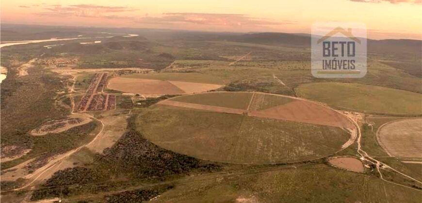 Mega Fazenda para venda 83.000 alqueires | Zona Rural – Lizarda – TO