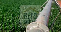 Mega Fazenda para venda 83.000 alqueires | Zona Rural – Lizarda – TO