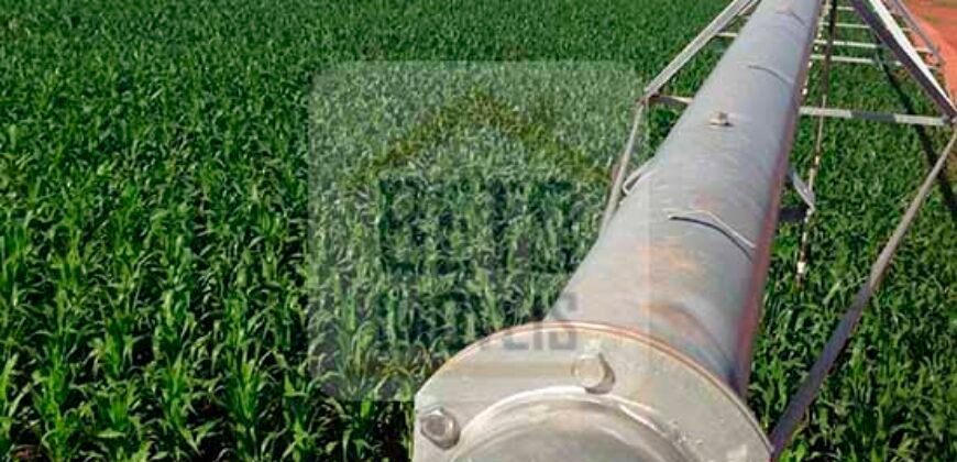 Mega Fazenda para venda 83.000 alqueires | Zona Rural – Lizarda – TO