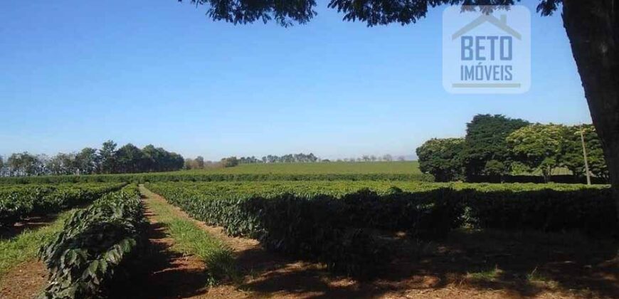 Fazenda de Café com 5.000 hectares | Região de Varginha/ MG