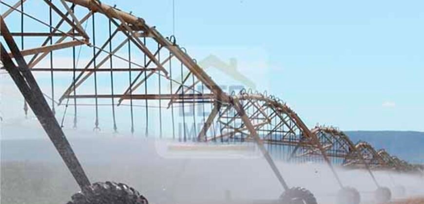 Mega Fazenda para venda 83.000 alqueires | Zona Rural – Lizarda – TO