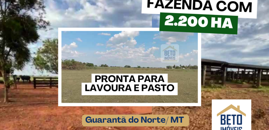 Fazenda com 2.200 hectares pronta para Pasto e lavoura | Guarantã do Norte/ MT