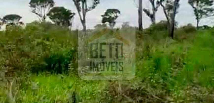 Fazenda para lavoura com 83.000 alqueires | Zona Rural – Lizarda – TO