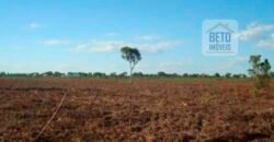 Fazenda para lavoura com 83.000 alqueires | Zona Rural – Lizarda – TO