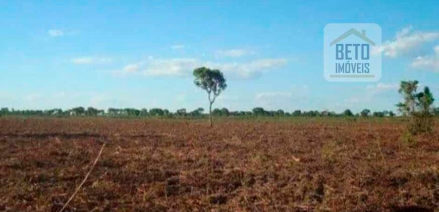 Fazenda para lavoura com 83.000 alqueires | Zona Rural – Lizarda – TO