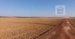 Fazenda Excelente Logística 17.000 hectares Lavoura Soja e Algodão | Água Boa – MT