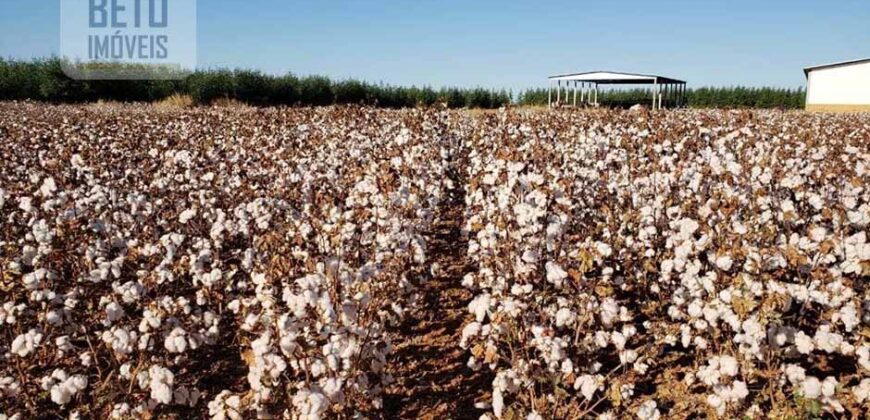 Fazenda Excelente Logística 17.000 hectares Lavoura Soja e Algodão | Água Boa – MT