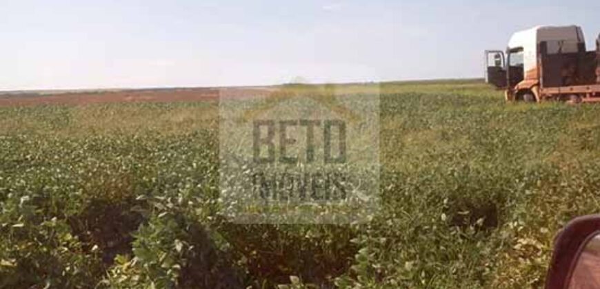 Fazenda Excelente Logística 17.000 hectares Lavoura Soja e Algodão | Água Boa – MT