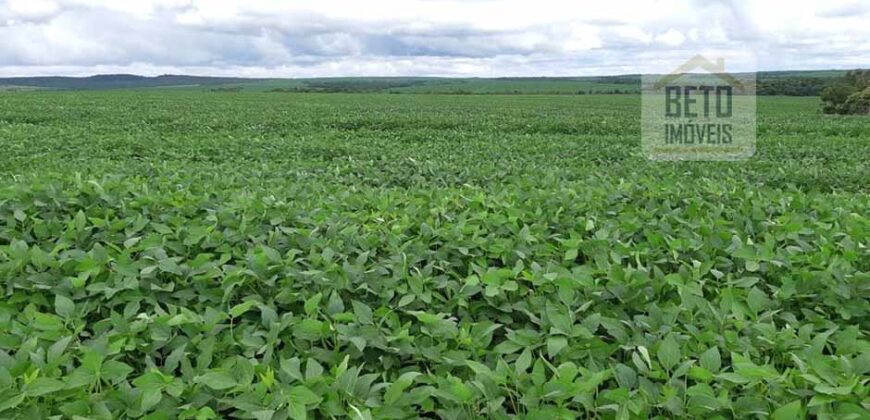 Fazenda Excelente Logística 17.000 hectares Lavoura Soja e Algodão | Água Boa – MT