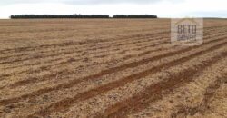 Fazenda Excelente Logística 17.000 hectares Lavoura Soja e Algodão | Água Boa – MT